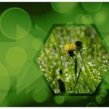 ESG-definizione-sociale
